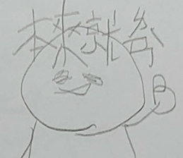 291454568