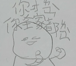 291454572