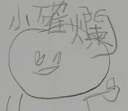 291454586