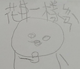 291454591