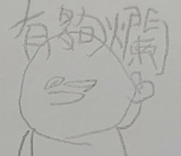 291454592