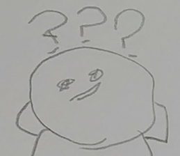 291454595