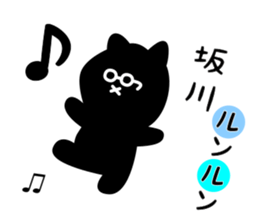 29149637