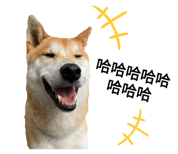 291501569
