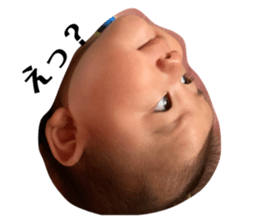 291511579
