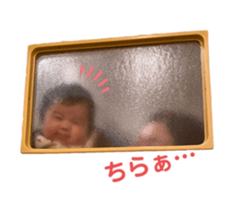 291550524