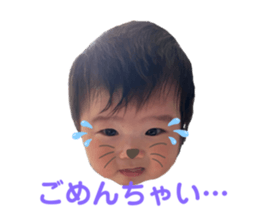 291550534