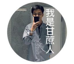 291558487