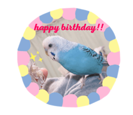 291632563