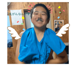 291706181