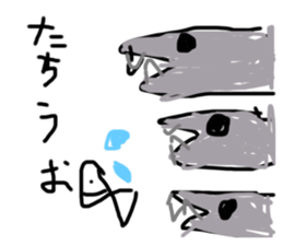 291708893