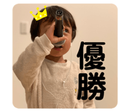 291753178