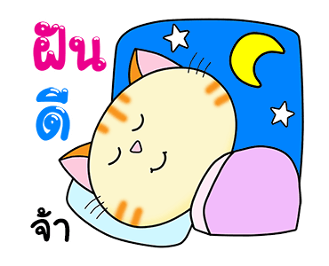 ก๊วน แมว เหมียว : สุข ป่วน ฮา รูปที่ 24
