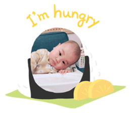 291925628