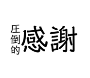 291991857