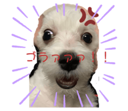 292013161