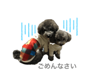 292014261