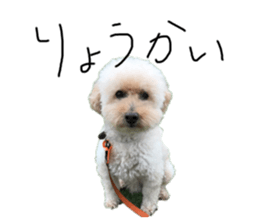 292015056