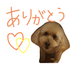 292015060