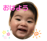 292015586