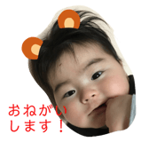292015588