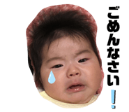 292015592