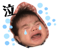 292015594