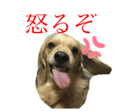 292023125