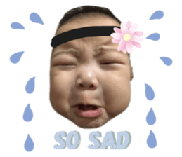 292025137