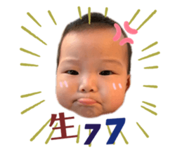 292025141