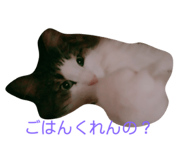 292028311