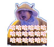 292044912