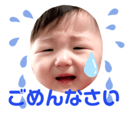 292050303