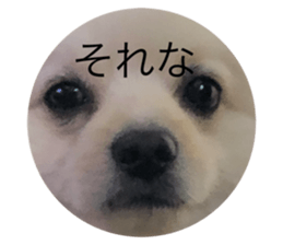 292065766