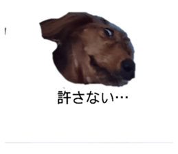 292084700