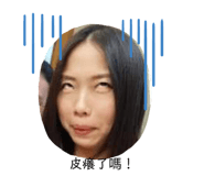 292093528