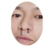 292093531