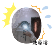 292093532