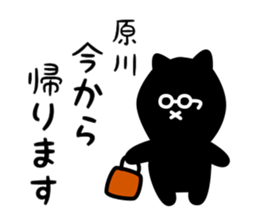 29221641