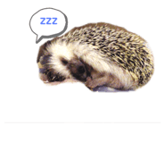 292261671