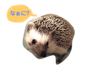 292261674