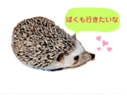292261677