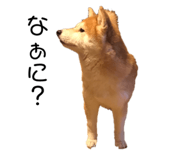 292309800