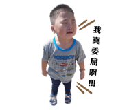 292343526