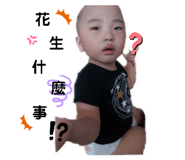 292343543