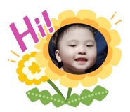 292343552