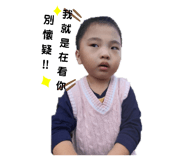 292343553