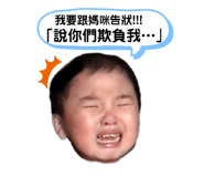 292343564