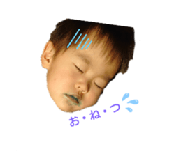 292343674