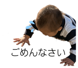 292376229